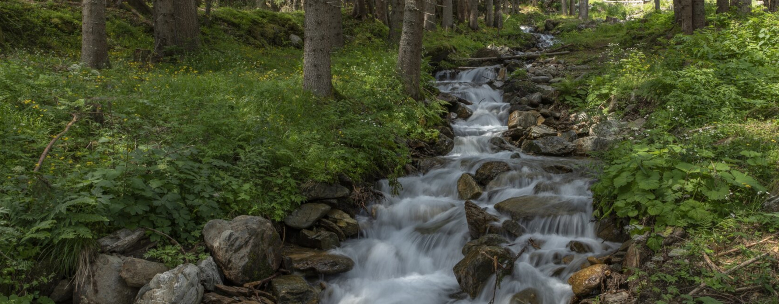 Locanda Alla Perla, nel cuore verde della Valle di Ledro - Lago di Ledro